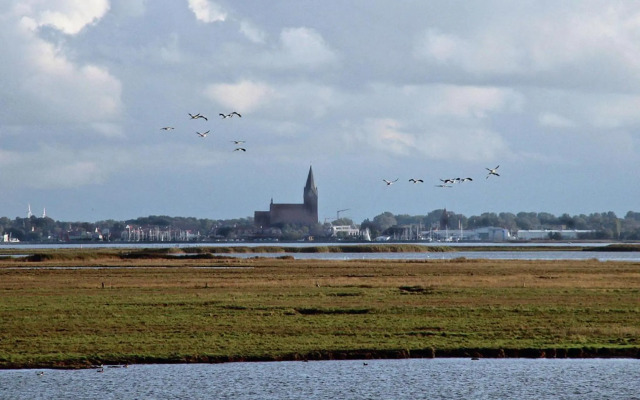 Glebbe 17 - Wohnung Südblick