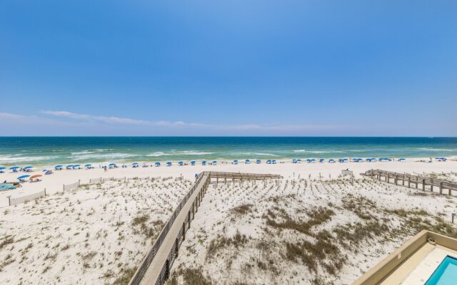 Wind Drift South East 404