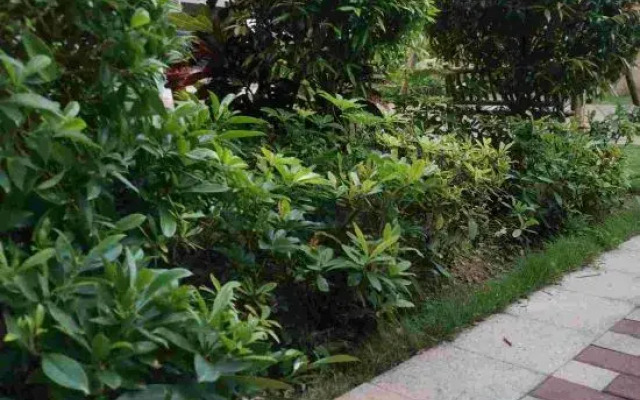 Weifudun Holiday Apartment (Hailing Island Poly Silver Beach)