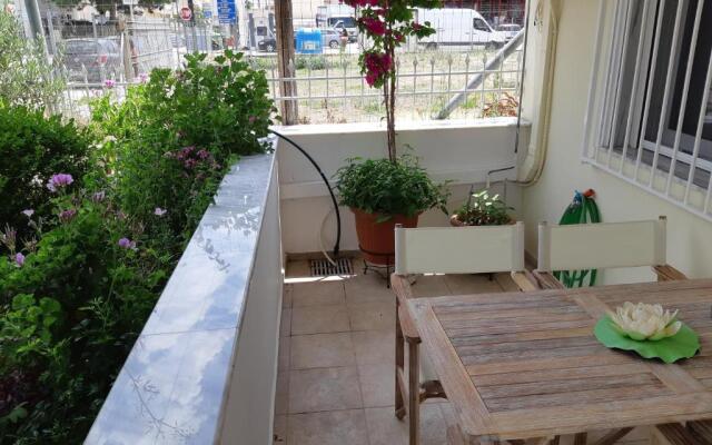 Evaggelia Design Suite