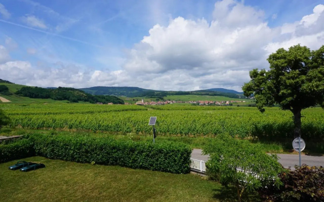 Le clos des vignes