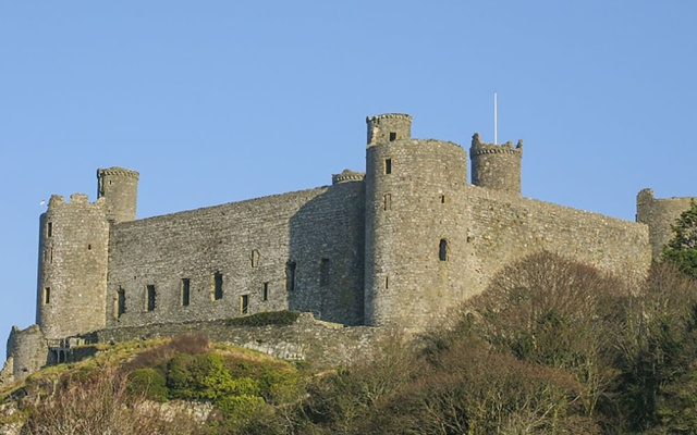 Garnedd Lwyd