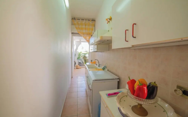 Rusciu Te Lu Mare Apartment