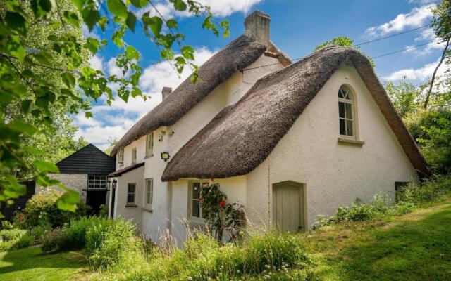 Weeke Brook - Quintessential thatched luxury Devon cottage