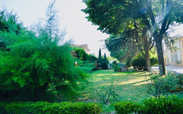 Villa Griffoni Historic Residence