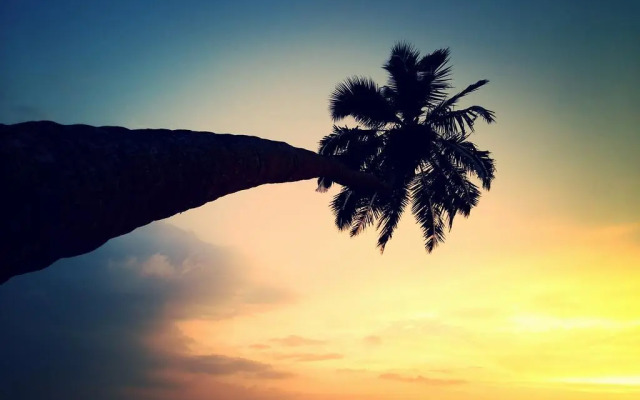 M R Beach & Cottages