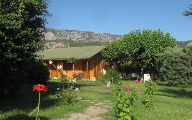 Tunay Pension