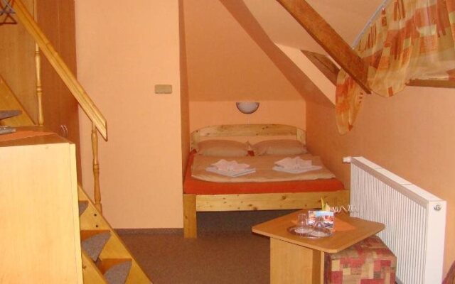 Hotel Vladimír