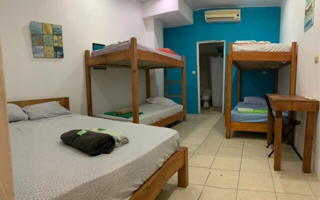Nahualli Hostel Tamarindo