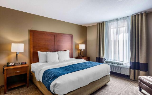 Comfort Inn South Chesterfield - Colonial Heights