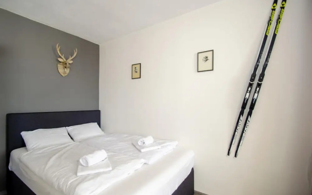 Apartment Dreamski in Zell am See