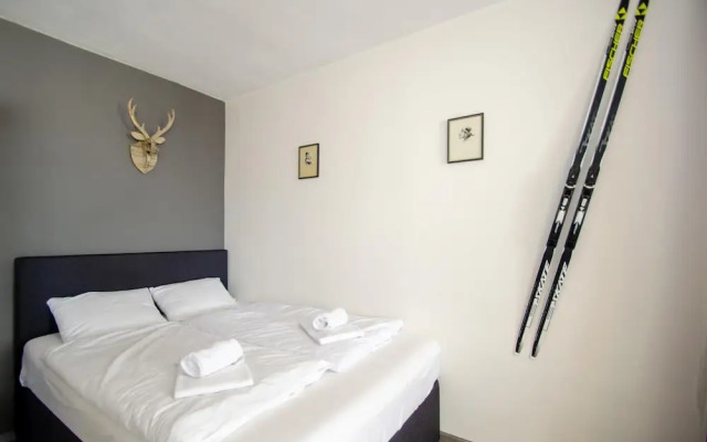 Apartment Dreamski in Zell am See