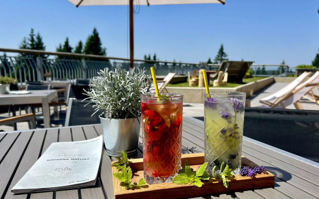 Natura Hotel - Rogla