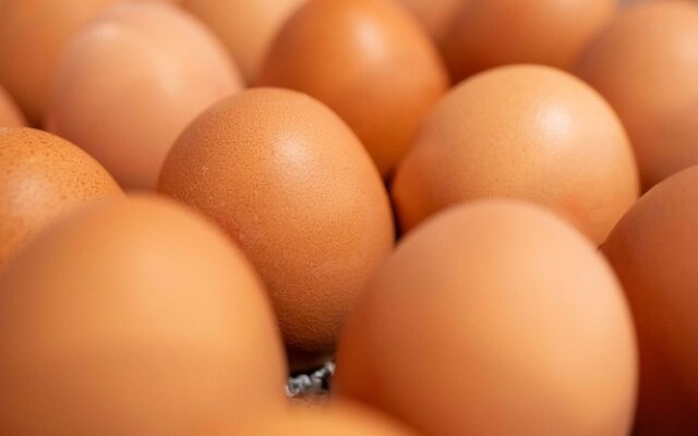 Prize by Radisson, Dresden Mitte