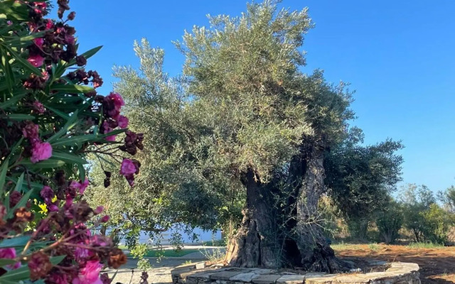 Quinta Vale Caranguejo