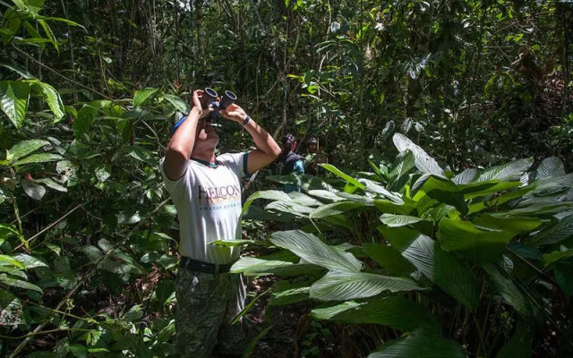 Heliconia Amazon River Lodge