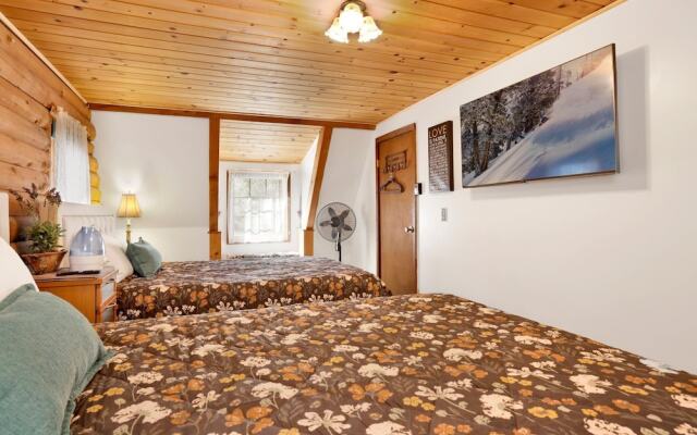 BIG Bear Haven #2343