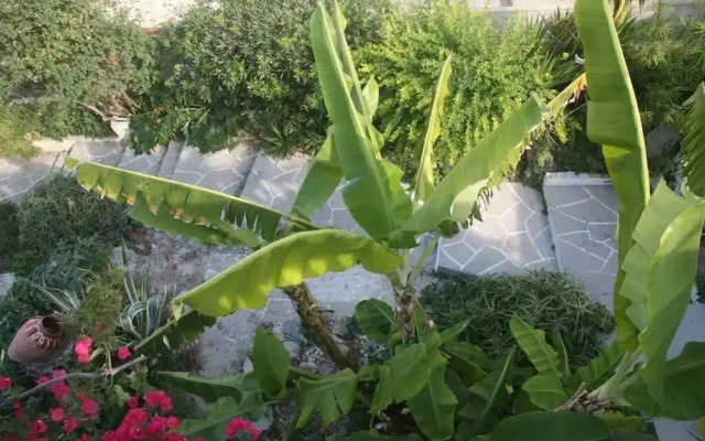 Levante Colours and Aromas of Spetses