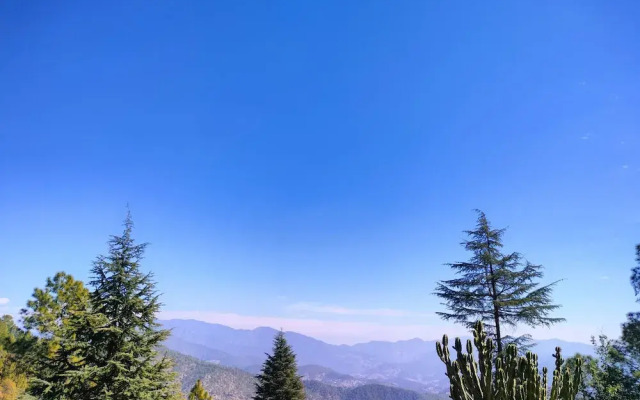 The Alpine Vista
