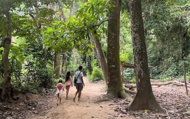 Tree of Life - Hostel