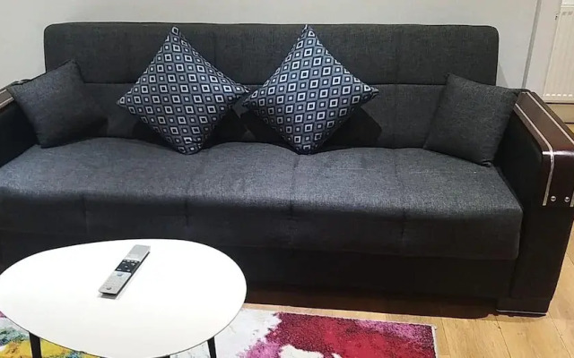 Immaculate 1-bed Apartment in London