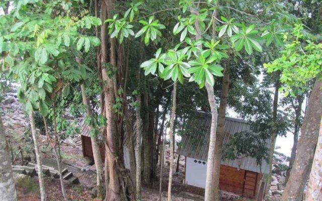 Treetop Guesthouse and Bungalows