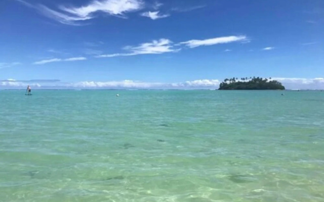 Muri Shores