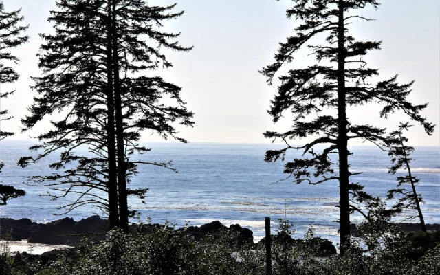 The Haida Way