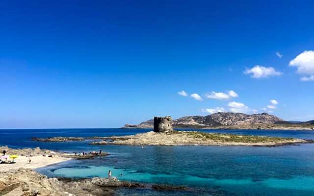 The Arches House IUN F1092