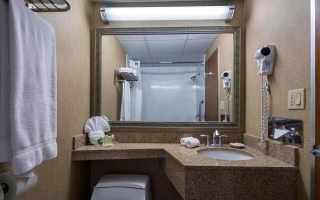 Holiday Inn New Orleans - Downtown Superdome by IHG