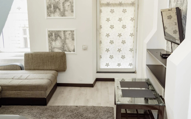 Transitional Havryky Apartment