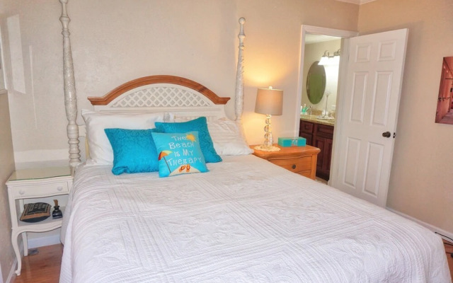 St Pete Beach, Backyard Sanctuary 154