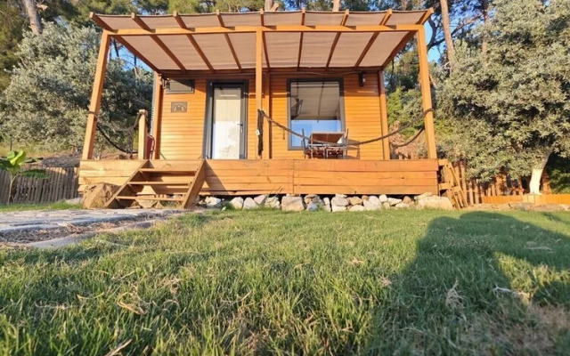 Ti̇ny Mi̇ni̇ House