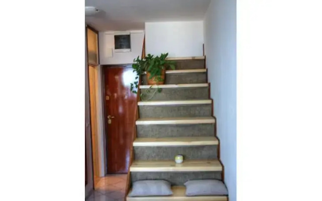 Apartments Buba