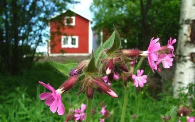 Wanha Pappila Cottages