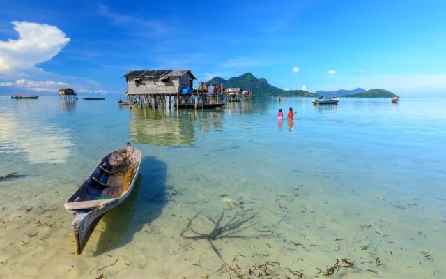 Seahorse Sipadan Scuba
