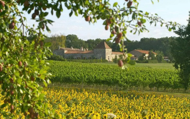 Château Des Baudry