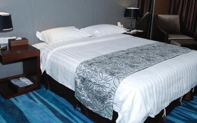 Metropolo Wuhan Economic Development Wanda Hotel