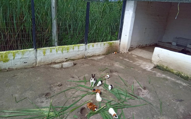 Villa Hípica Resort