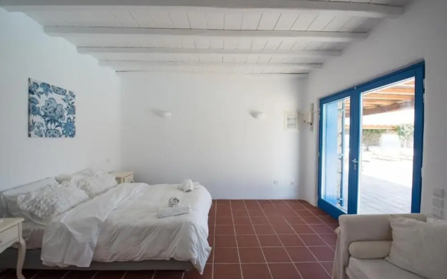 Mykonian Private 2 Bd Villa with Pool