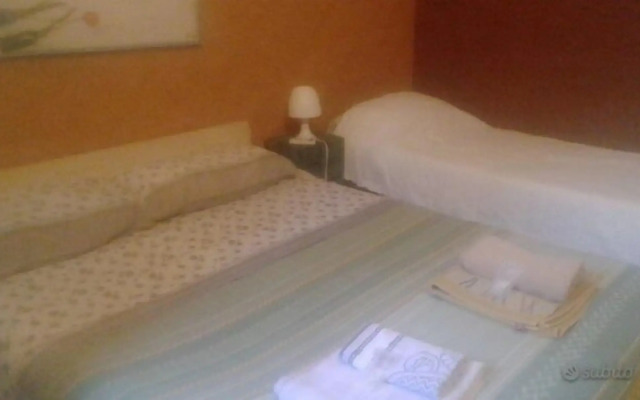 B&B Minicurcu