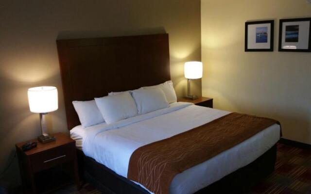 Rodeway Inn Savannah