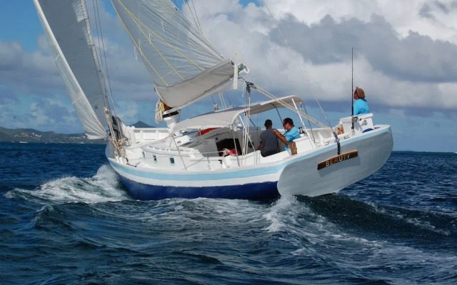 Petit St. Vincent