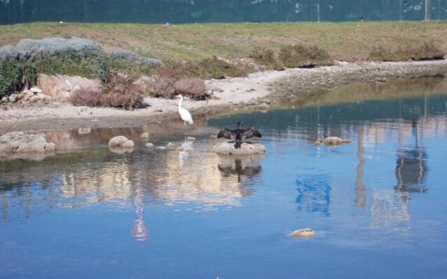 Appartamento MaGiBac Due - Zona Olbia Mare - IUN Q7449