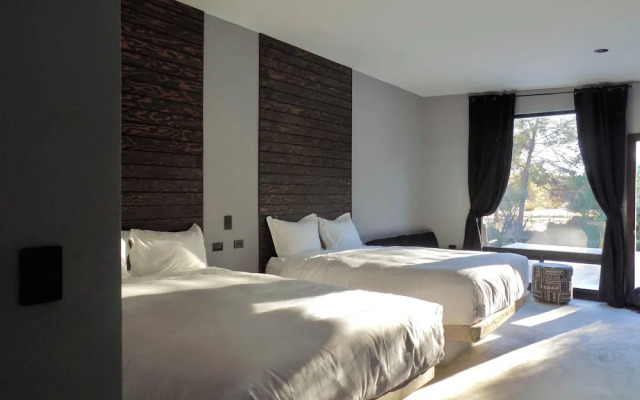 Pulso Valle de Guadalupe