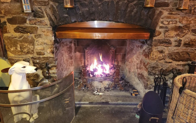 OYO Lavender House Hotel