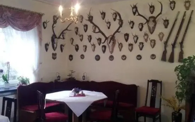 Pension & Berggasthaus Kapellenstein