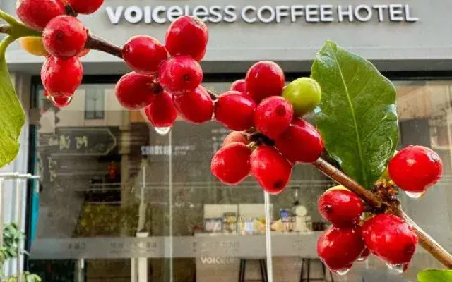 Xiyin Coffee Hotel (Baoshan High-speed Railway Station)