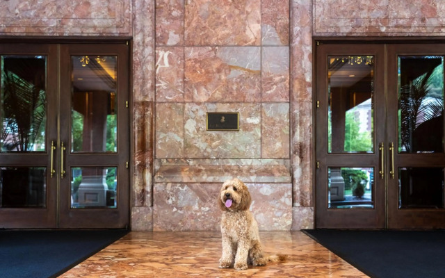 The Ritz-Carlton, St. Louis