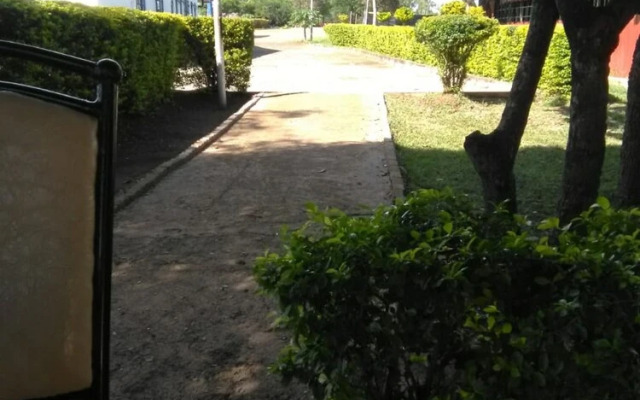 Brisa Caribbean